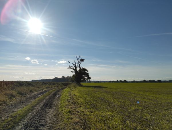 Picture of Tadcaster to Healaugh loop 