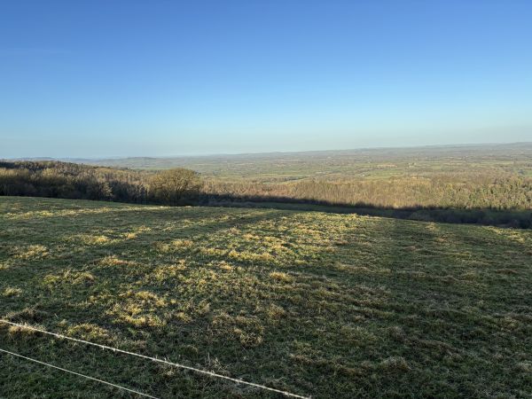 View from Woolland hill