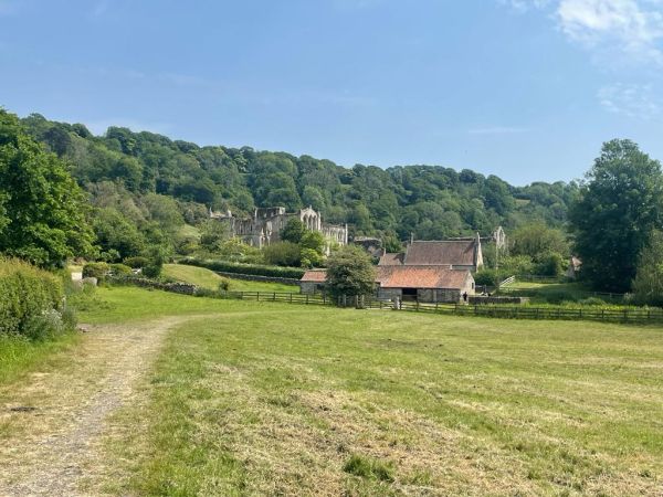 Picture of Helmsley and Rievaulx Abbey