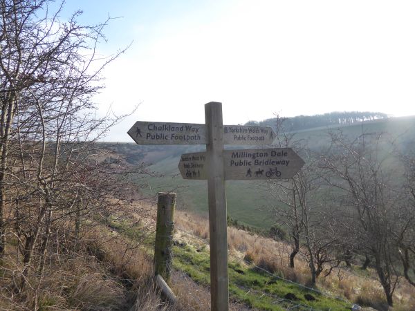 Picture of Stage 1 of the Chalkland Way from Wetwang to Millington (30th anniversary celebration)