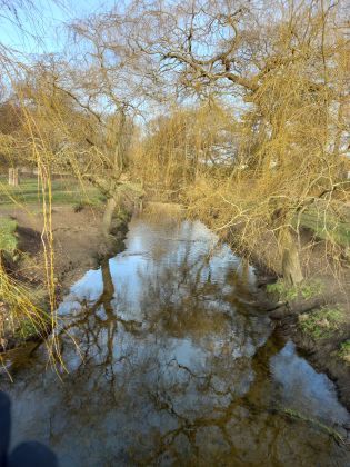 Richmond park