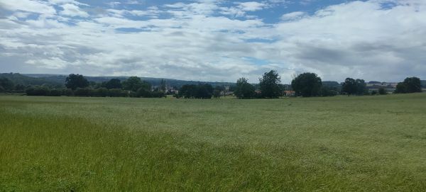 Picture of Helmsley & Riccal Dale