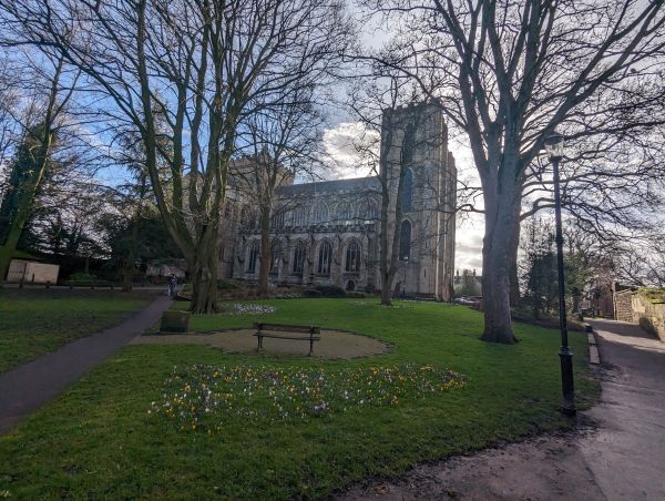 Picture of Ripon Canal & Bishop Monkton 