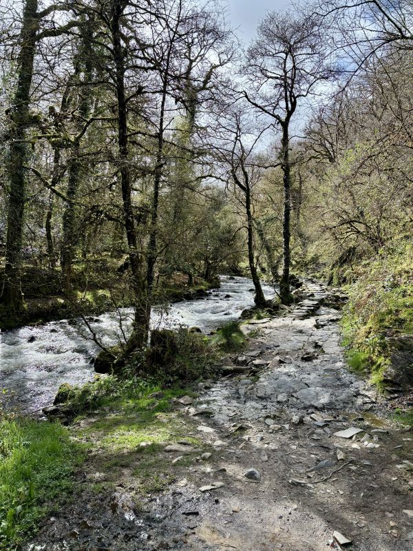 Path alongside river