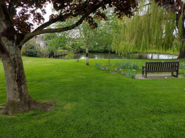 Picture of Wigginton (evening walk)