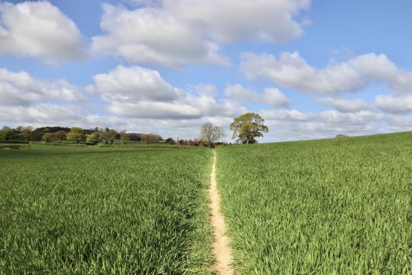 Picture of Centenary Way section 3: Welburn to Malton