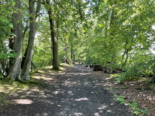 Path beside Brothie Burn