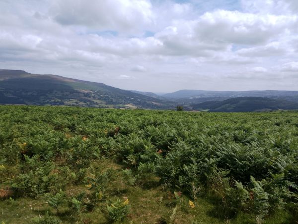 bwlch-moorland-ramble