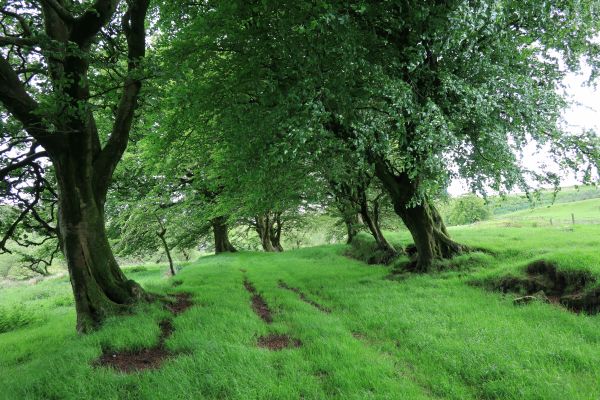 towards Cockston Farm