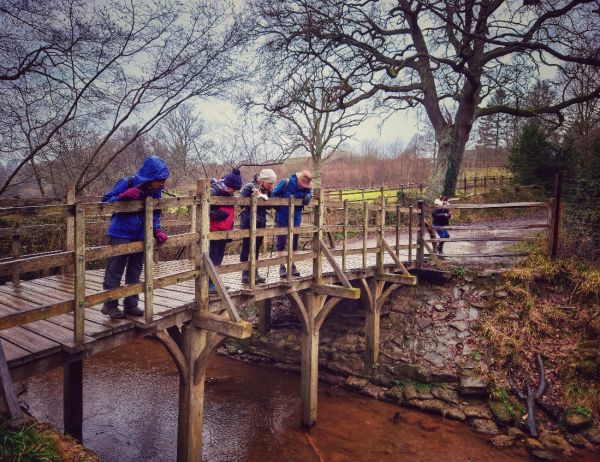 Pooh Sticks Bridge 