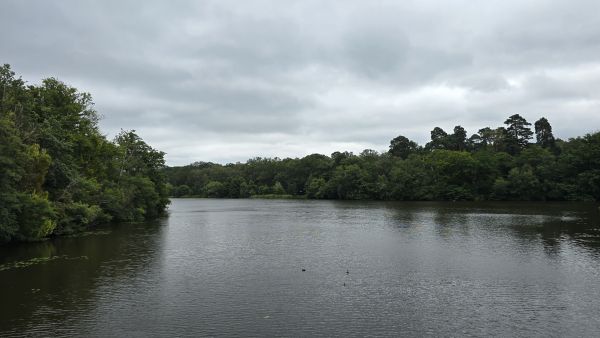 View of Virginia Water 2