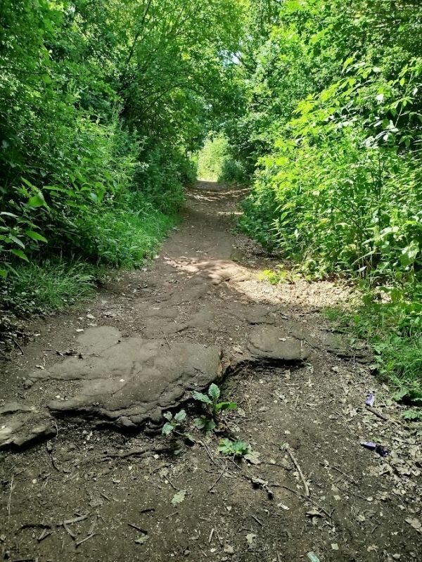 Red Rocks Pathway