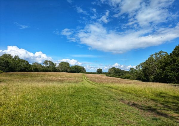 High Weald landscape trail