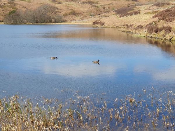 A Tarn
