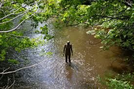 River Art