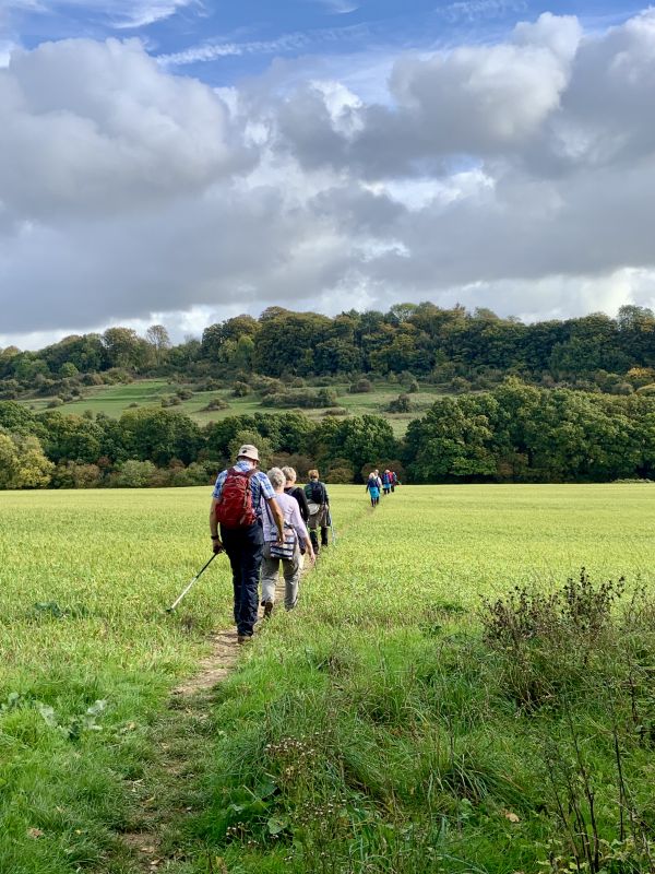 Catherington Down
