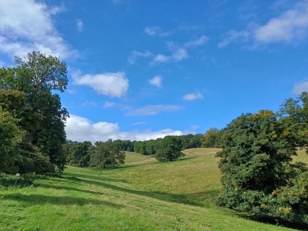 Sheepwalks Kinver