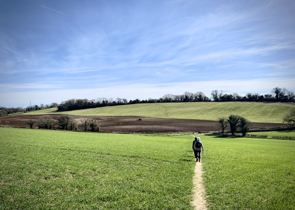 Denmead