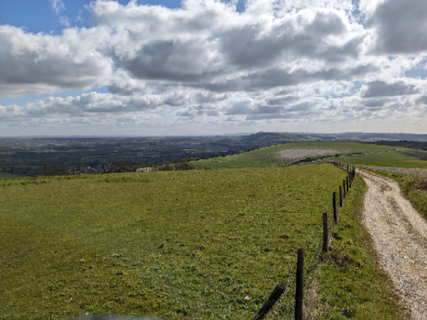 Looking out from the SDW near Bignor Hill