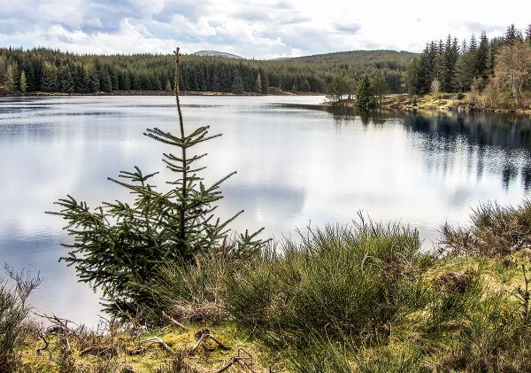 Loch Scoly