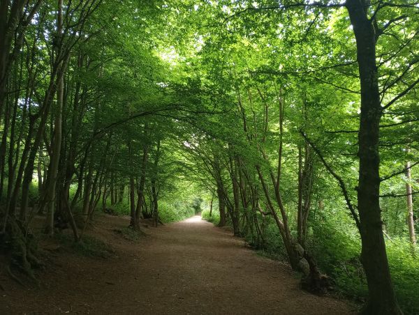West Kent Walking Group - Trosley County Park