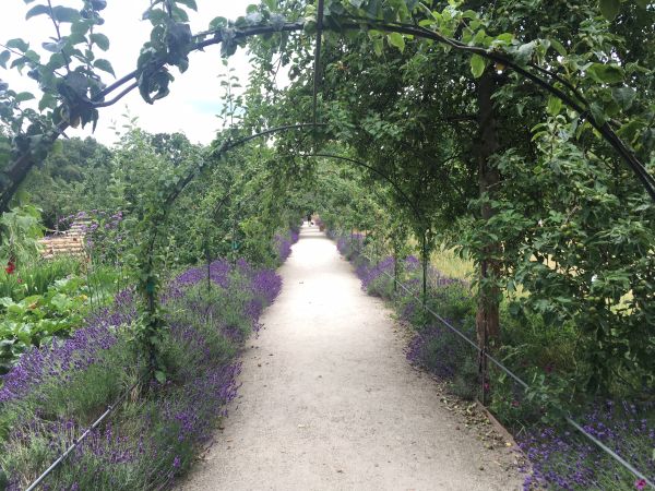 Fulham Palace walled garden