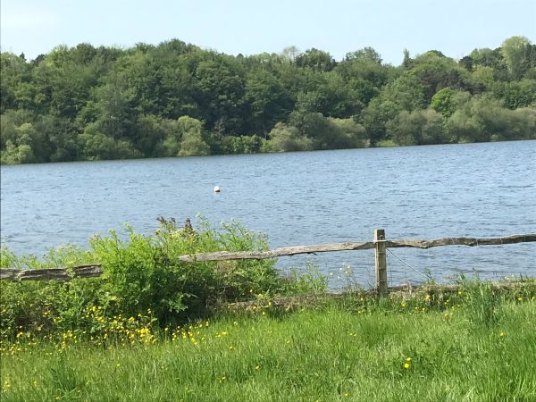 Ardingly Reservoir