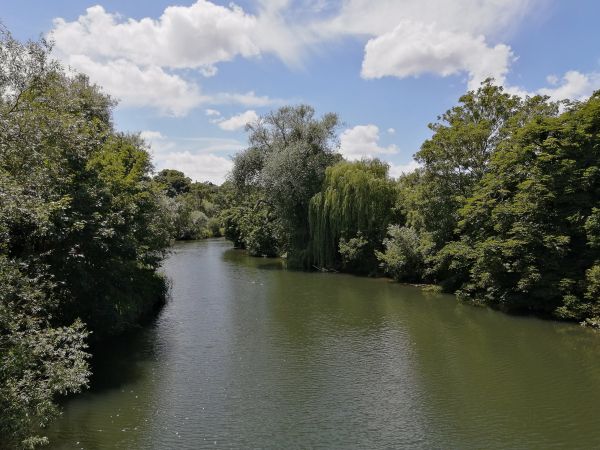 Scenic River View