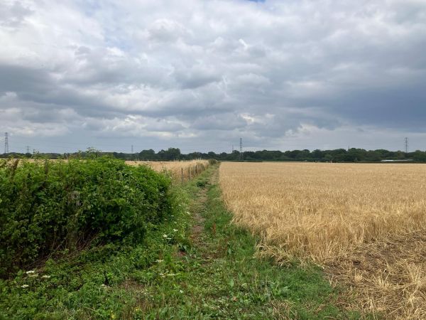 Denmead1
