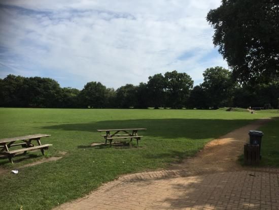 Frimley Lodge Park