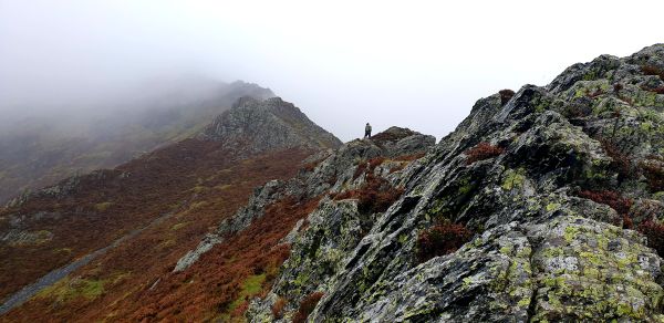 Halls Fell