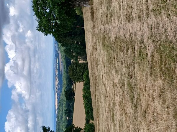 views Jack Mytton way