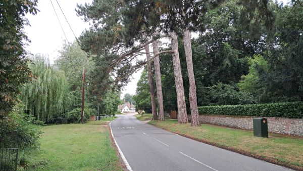 Wicken Bonhunt