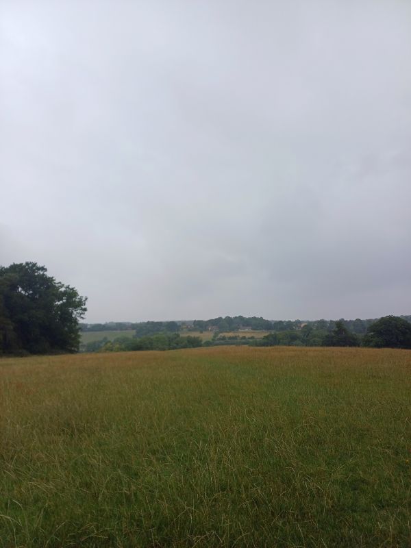 View over fields