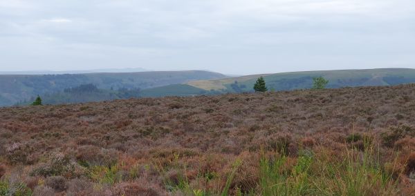 Brecon Beacons in the distance