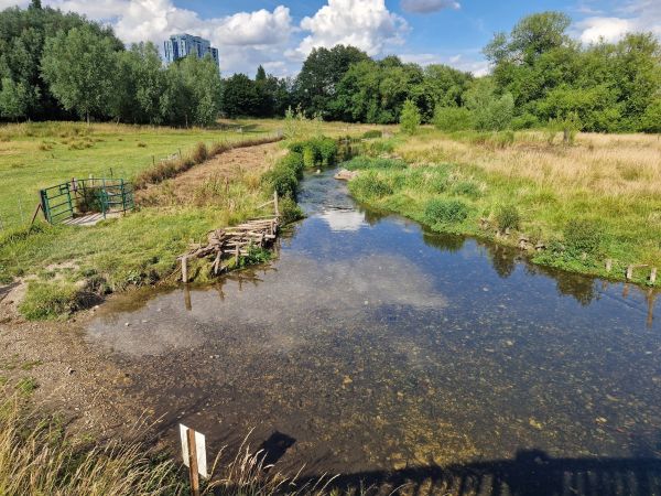 The River Bulbourne in Box Moor