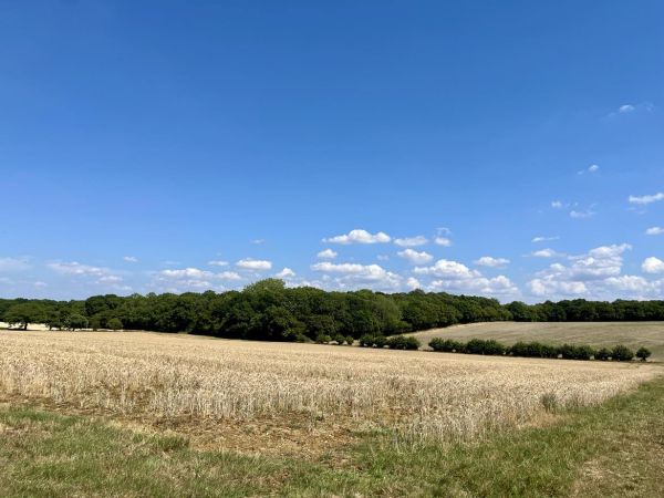 A view across arable fields