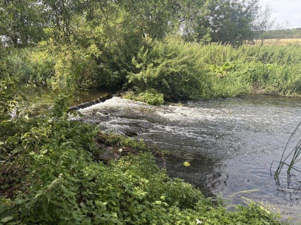 A weir on the River Lea