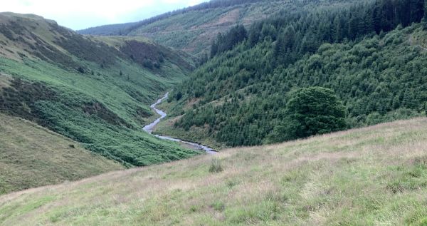 Afon Clywedog from South of Dylife Plateau