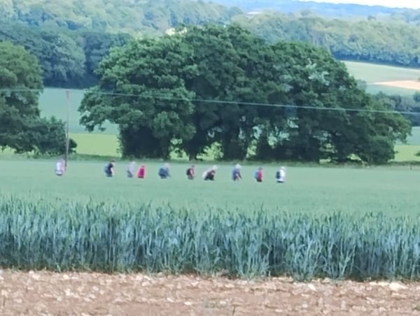 Ramblers walking across grass, framed by tree
