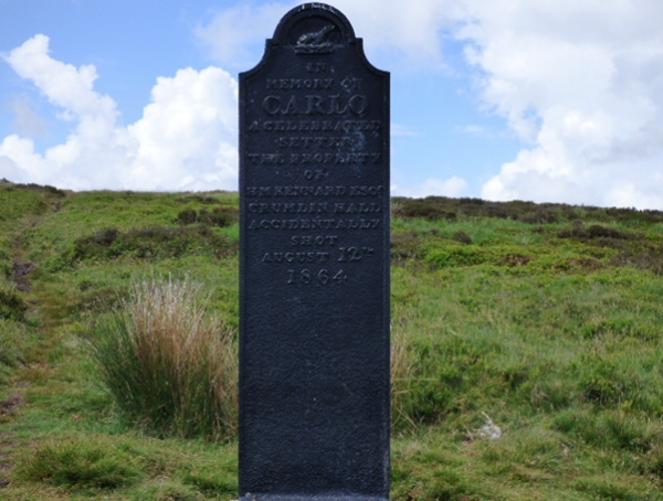 The Dogstone on Mynydd Farteg Fawr