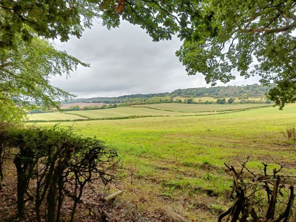 The North Downs