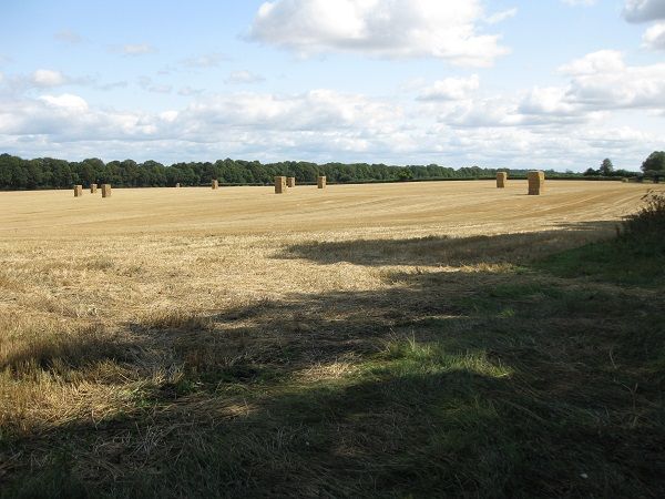 Harvest