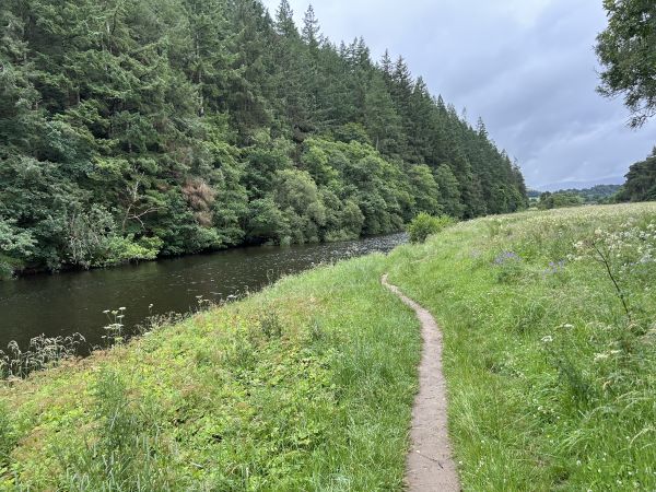 River Tweed path