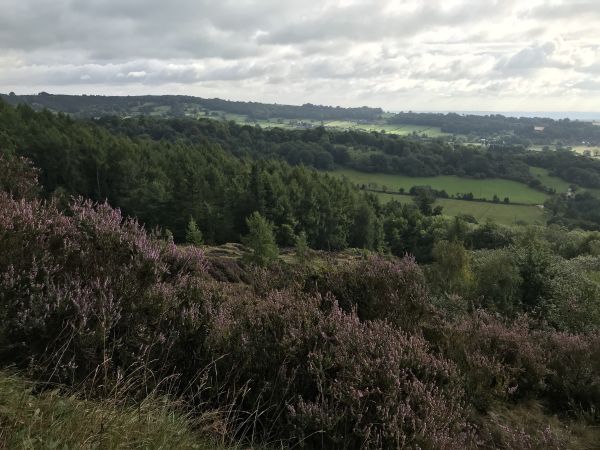 Ashover 1