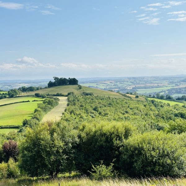 Kelston Roundhill