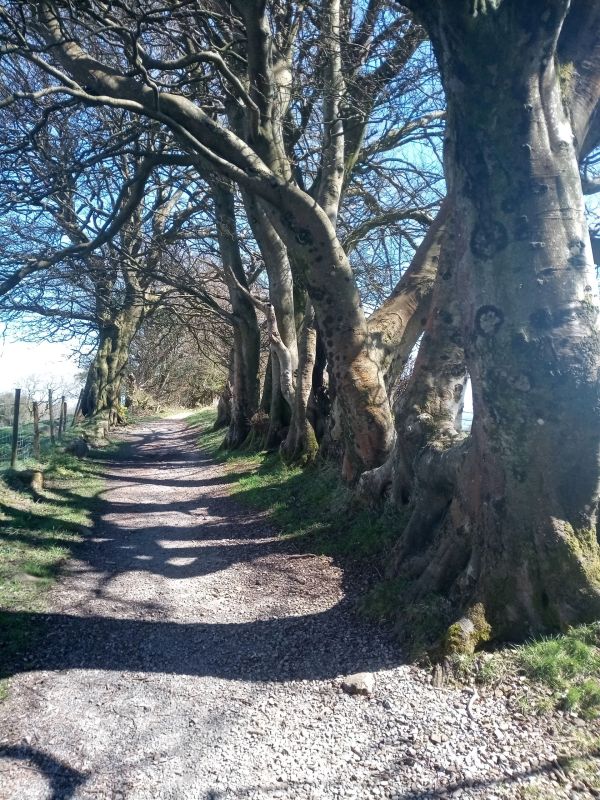 Ridge walk