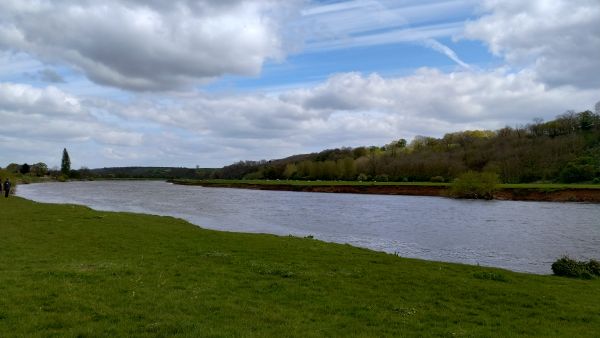 The River Trent