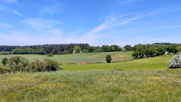 A view of the countryside
