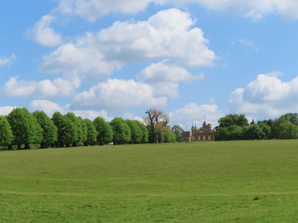 An avenue of trees leading to Knebworth House
